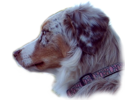 Hazel Everglades Summer Breeze