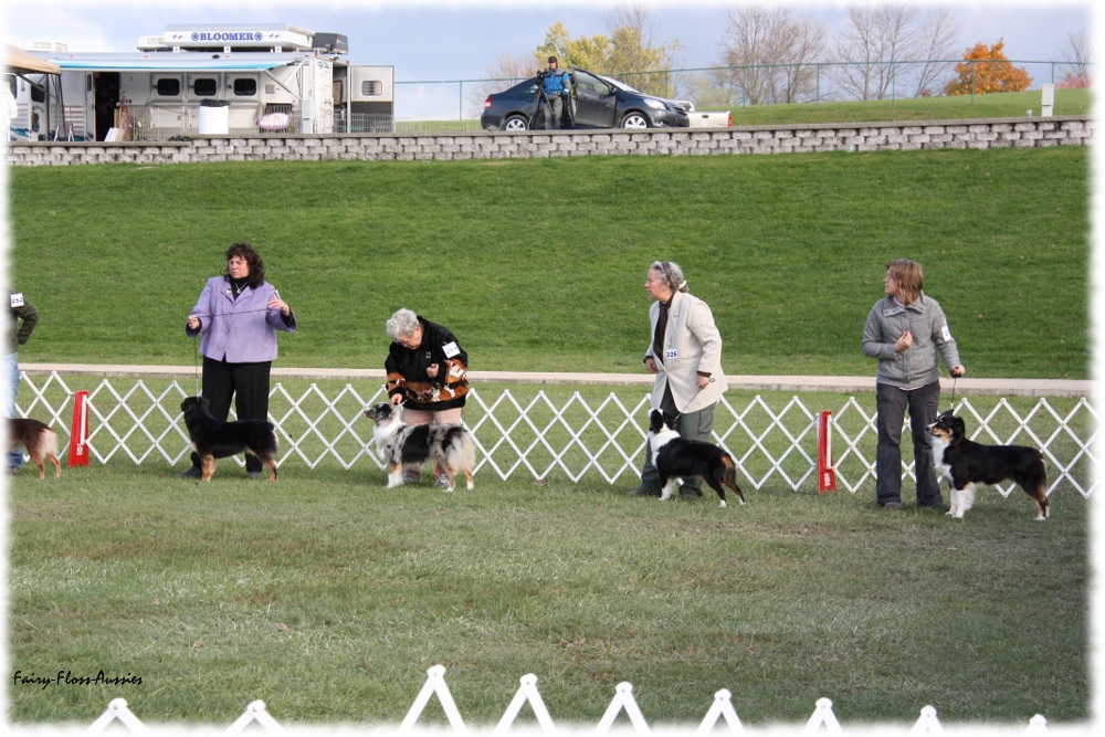 Mini Aussie Nationals